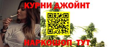 гашик Новодвинск