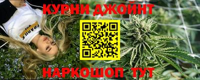 гашик Новодвинск