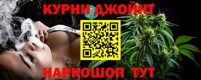 гашик Новодвинск